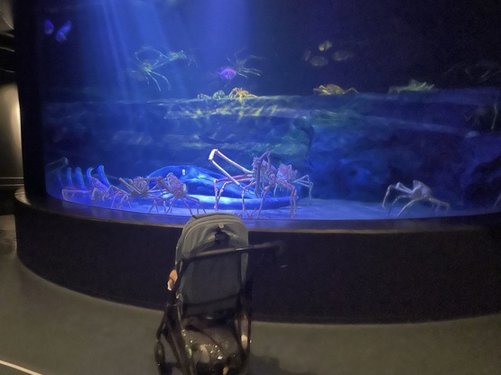 takeshimaaquarium-ticketprice