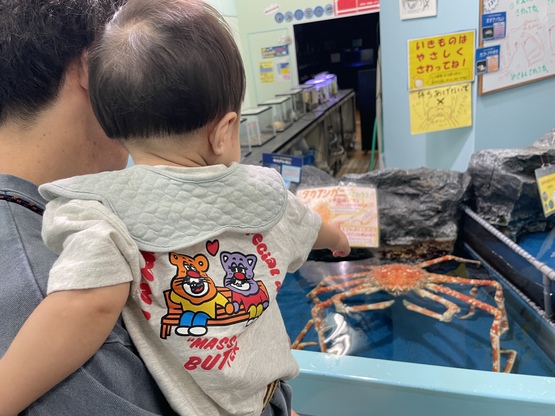 takeshimaaquarium-ticketprice