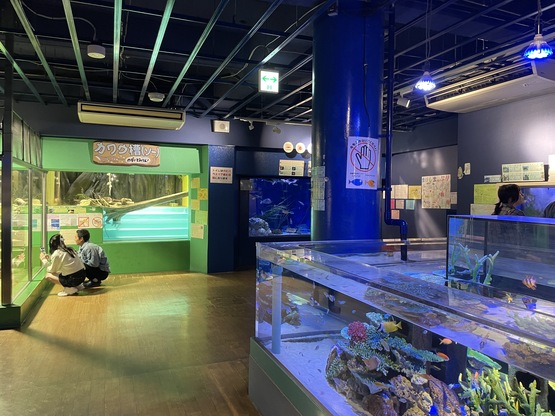 takeshimaaquarium-ticketprice