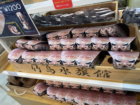 takeshimaaquarium