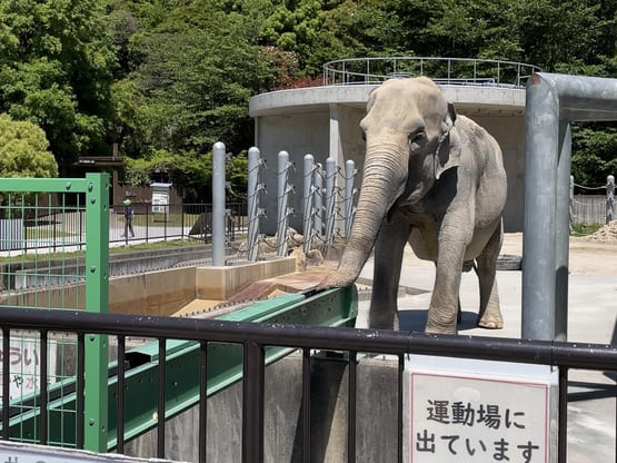 okazakiciteastpark-elephant