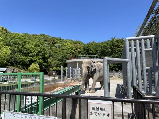 okazakicityhigashipark-elephant
