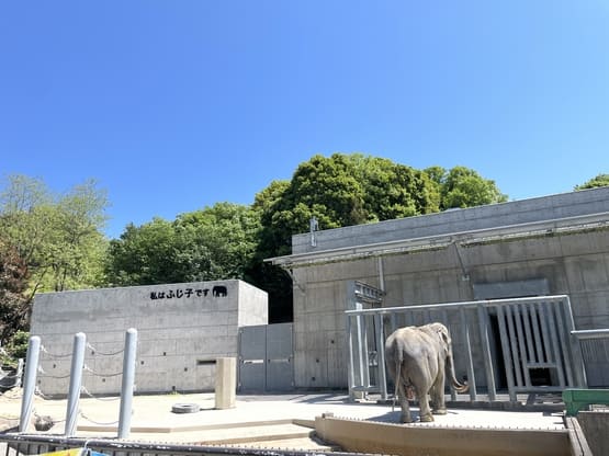 okazakiciteastpark-elephant