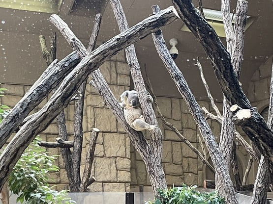 東山動物園所要時間2〜3時間