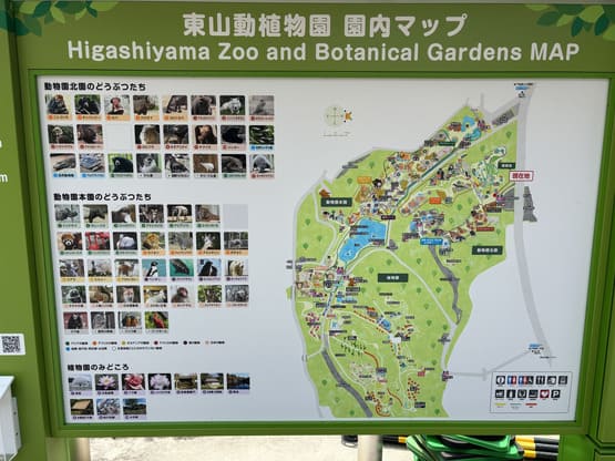 東山動物園のモデルコース