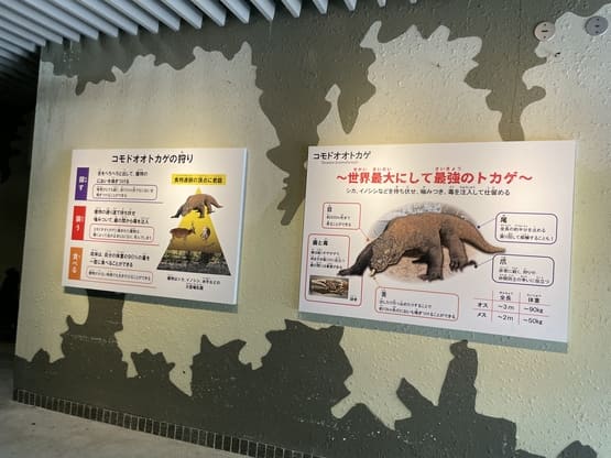 komododragon-goods-tarou